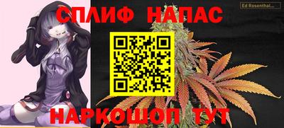 индика Краснознаменск