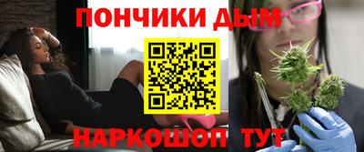 индика Краснознаменск